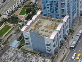 The Space - Birds Eye View -Loft