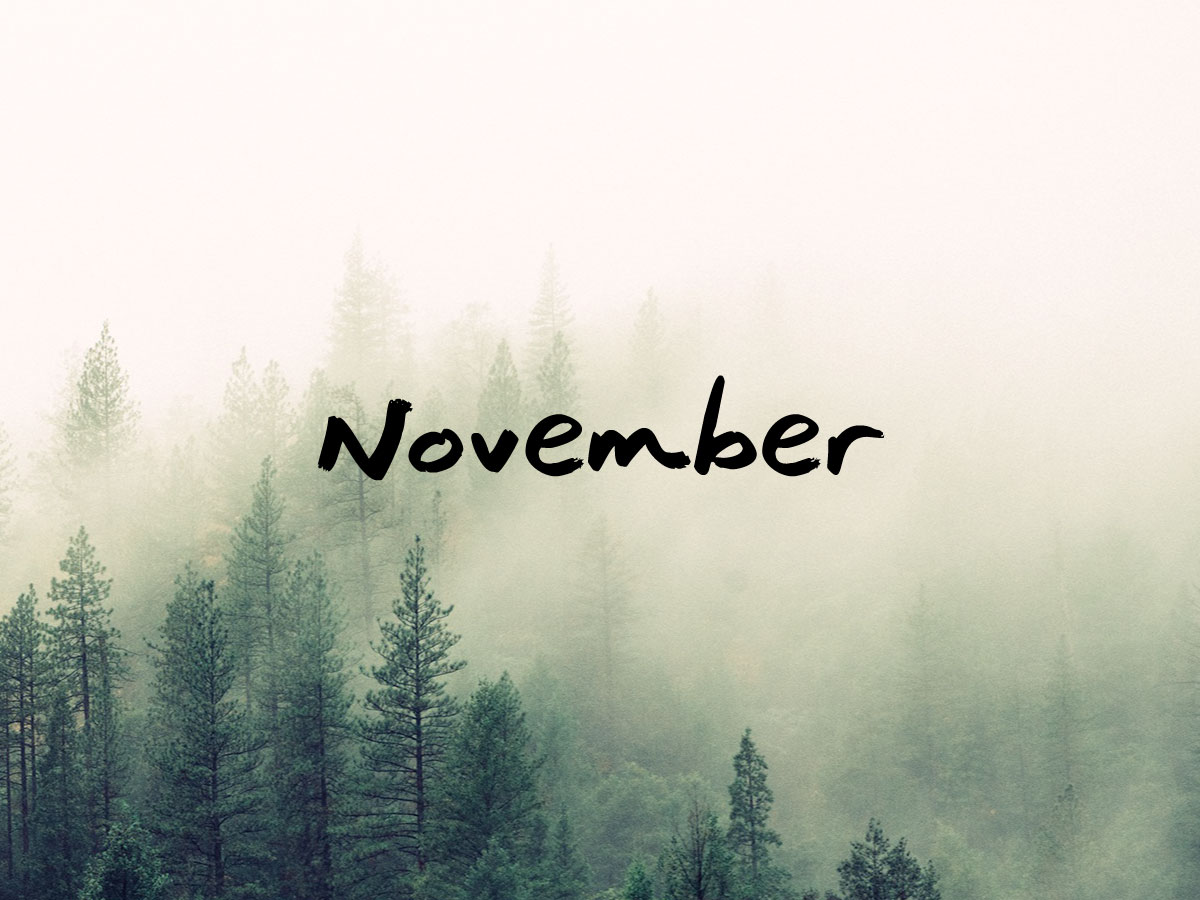 Beginning of november. November надпись. November картинки. Ноябрь надпись. Обои с надписью ноябрь.