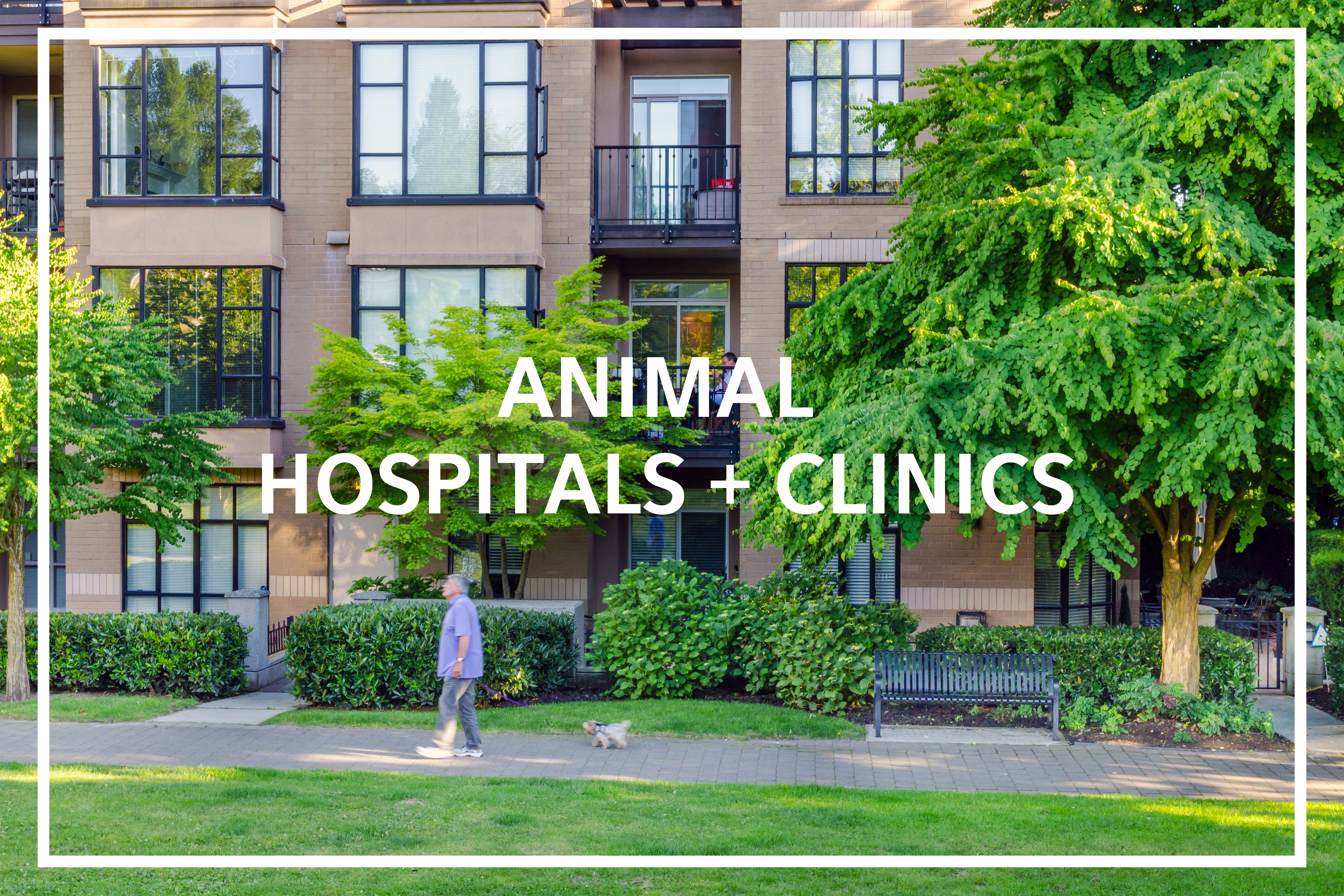 animal clinics