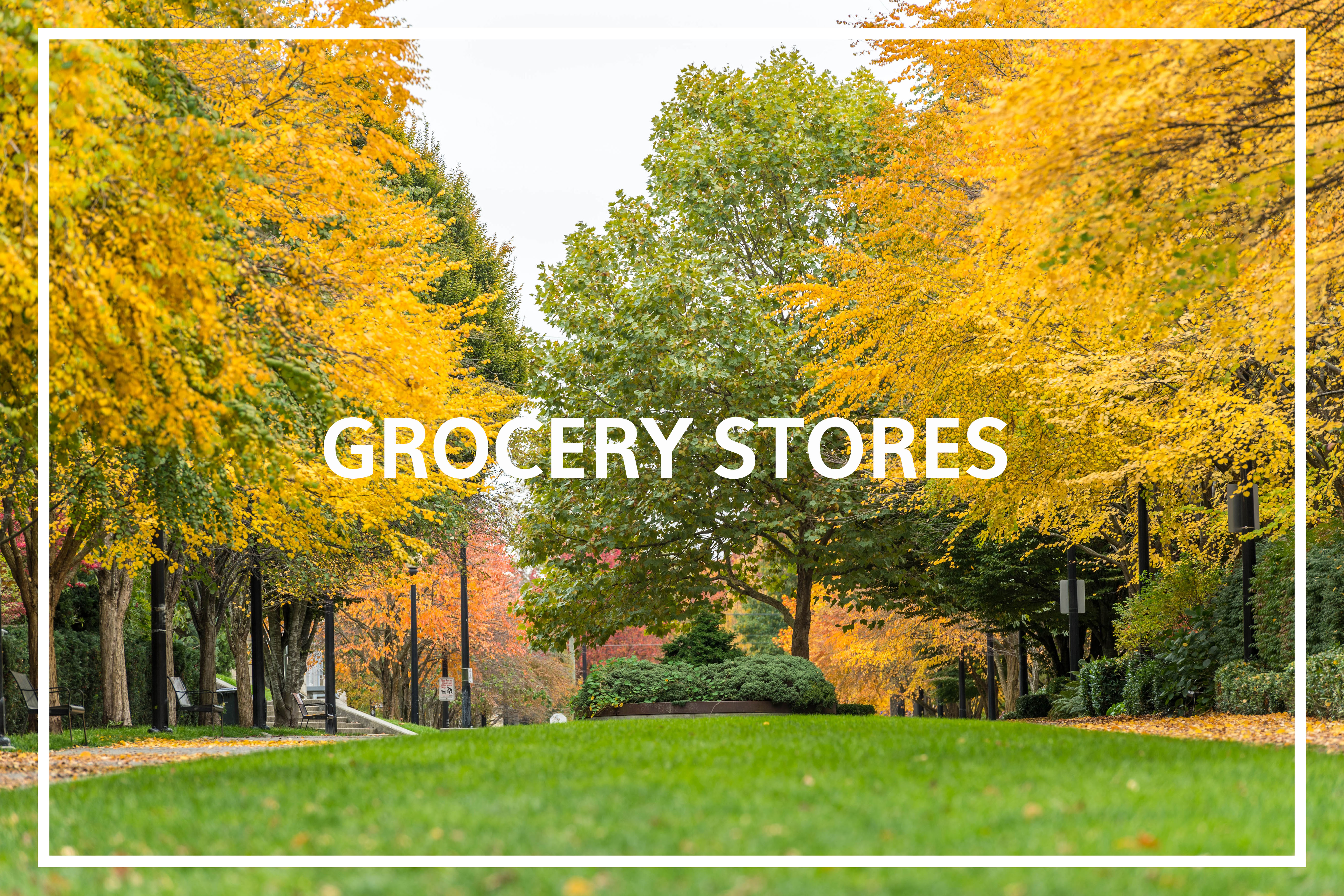 grocery stores