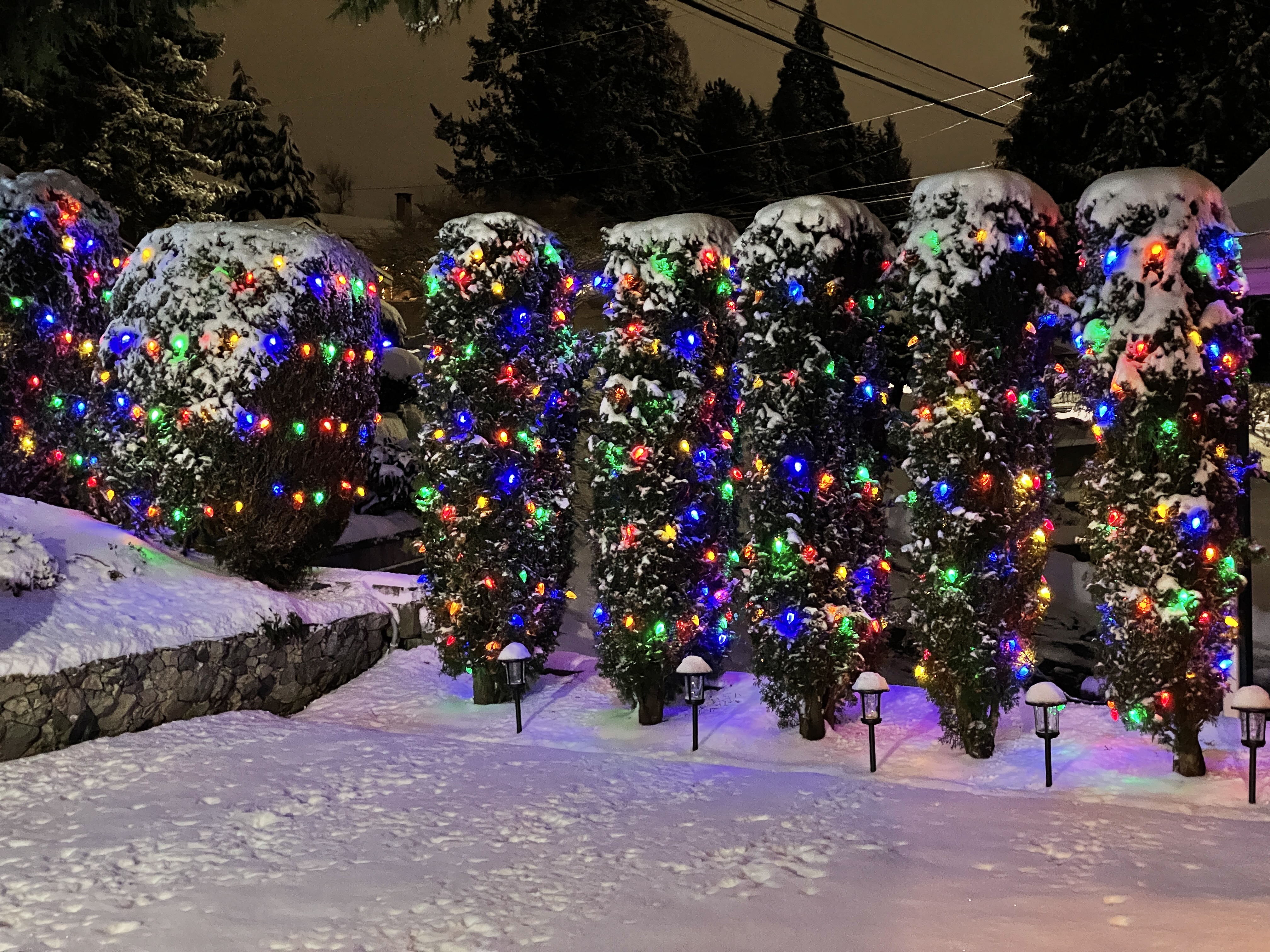 Christmas Lights