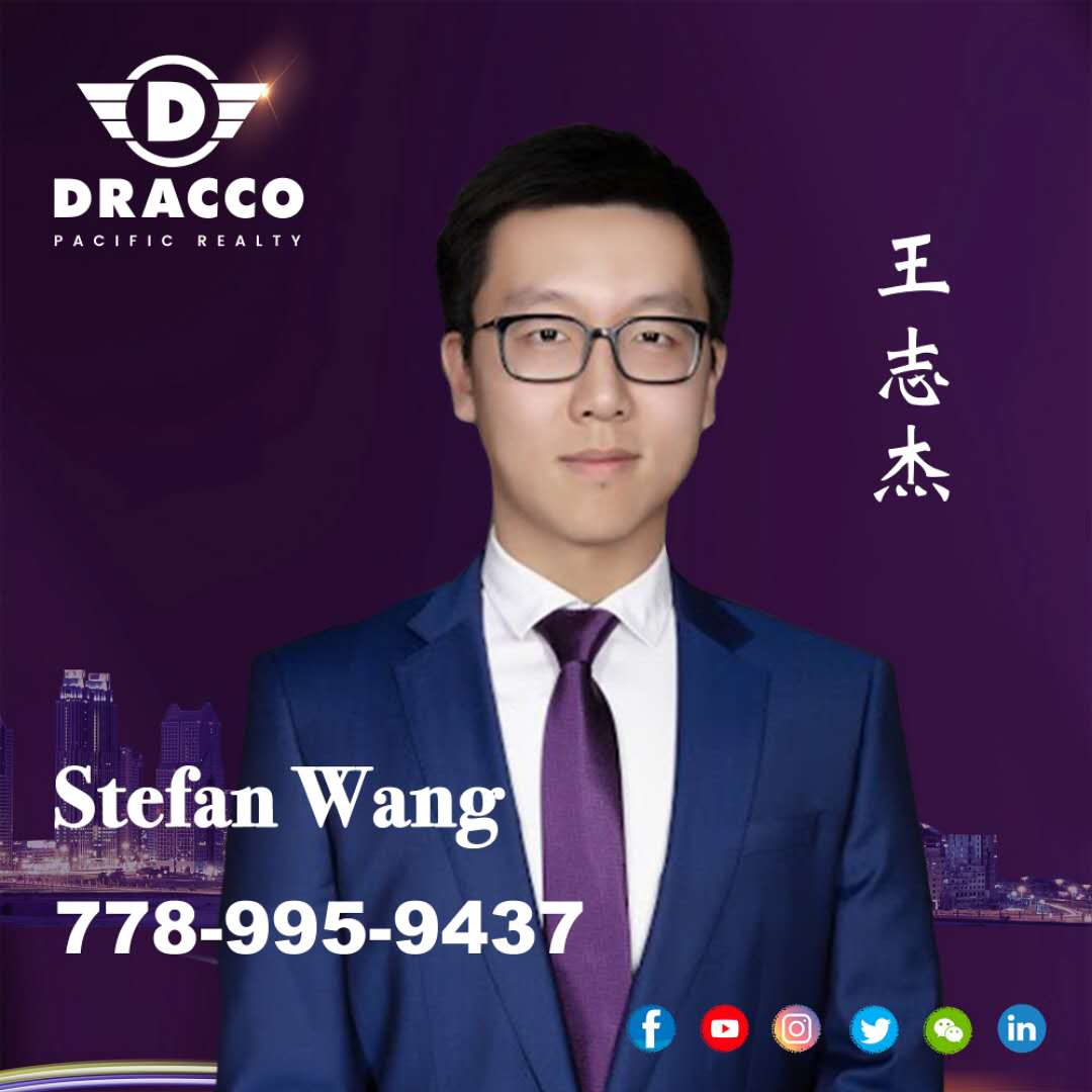 stefan wang