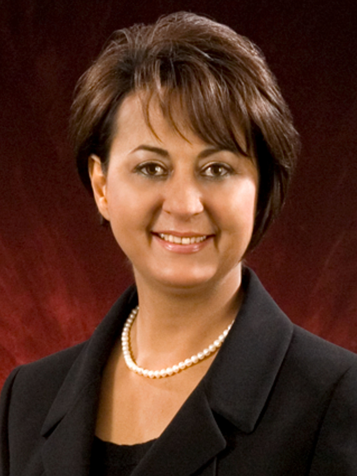 mitra saberi pixilink
